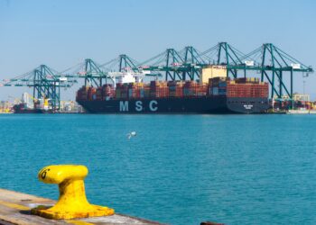 Angola, Israel y Argelia lideran los aumentos de tráficos de Valenciaport en febrero