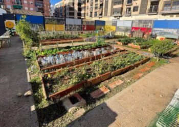 Valencia invita a las familias a conocer sus centros escolares en jornadas de puertas abiertas este abril