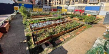 Valencia invita a las familias a conocer sus centros escolares en jornadas de puertas abiertas este abril