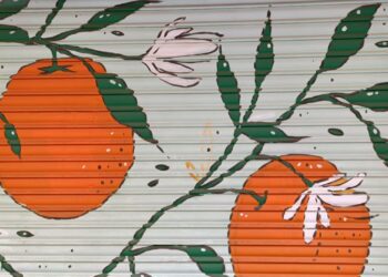 Concurso de decoración de persianas en Ruzafa: arte urbano en los barrios de Valencia