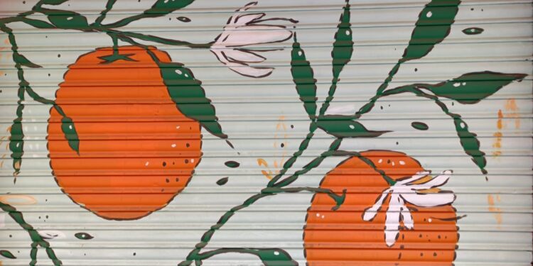 Concurso de decoración de persianas en Ruzafa: arte urbano en los barrios de Valencia 1 Concurso de decoración de persianas en Ruzafa: arte urbano en los barrios de Valencia