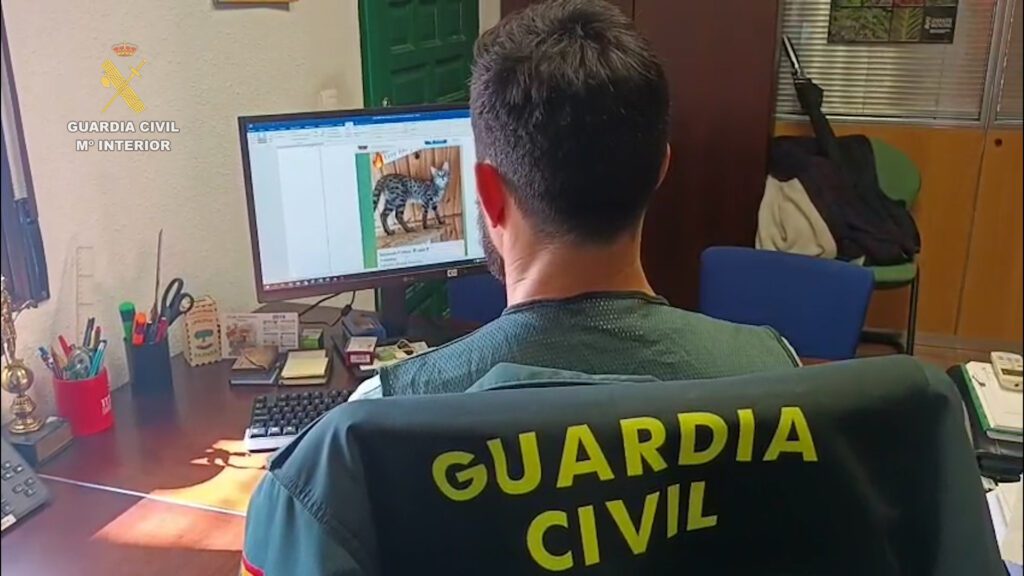 Detenidas dos personas por vender a través de internet animales exóticos 3 2025 04 14 op Kotach Valencia 03