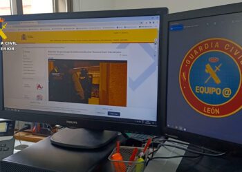 Detenida una mujer por estafar más de 350.000 euros a un hombre por el método conocido como “estafa amorosa”