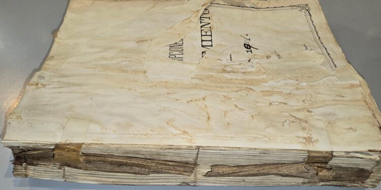 El Institut Valencià de Conservació i Restauració recibe una donación del Gobierno de la Comunidad de Madrid para la recuperación de documentos afectados por la riada