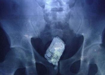 La prisión de Picassent ha confiscado 653 móviles en siete años: un mercado negro que desafía la seguridad penitenciaria