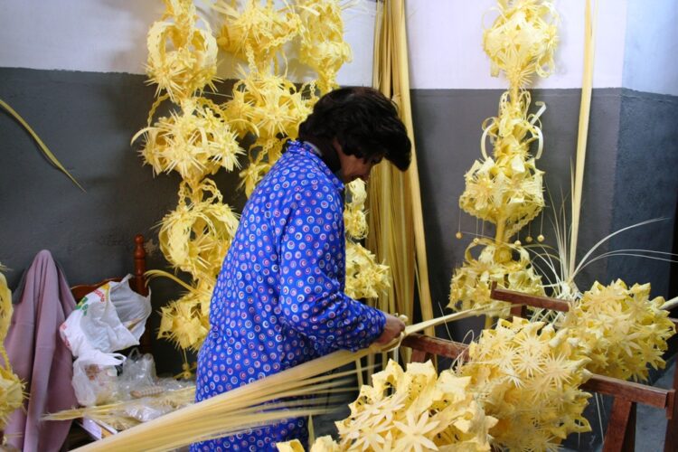 La Palma Blanca de Elig/Elche una tradición artesanal que se mantiene desde época ancestral