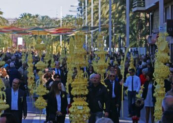 La Palma Blanca de Elig/Elche una tradición artesanal que se mantiene desde época ancestral