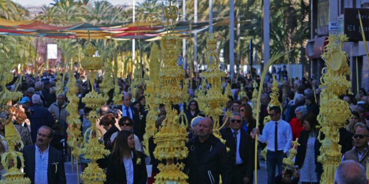 La Palma Blanca de Elig/Elche una tradición artesanal que se mantiene desde época ancestral 1 La Palma Blanca de Elig/Elche una tradición artesanal que se mantiene desde época ancestral