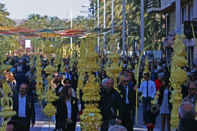 La Palma Blanca de Elig/Elche una tradición artesanal que se mantiene desde época ancestral