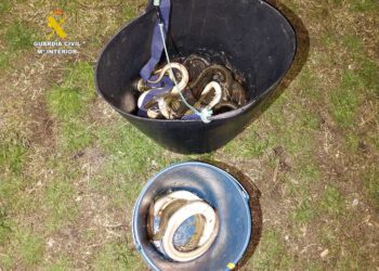 Tres hombres sorprendidos pescando ilegalmente anguila europea en la Albufera: la Guardia Civil evita su entrada en el mercado negro