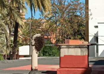Los bomberos multiplican la retirada de panales de abejas en entornos urbanos 5 Los bomberos multiplican la retirada de panales de abejas en entornos urbanos