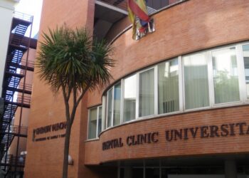 El Hospital Clínico de Valencia participa en una guía de fisioterapia y ejercicio físico para pacientes pediátricos receptores de trasplante de médula ósea 2 El Hospital Clínico de Valencia participa en una guía de fisioterapia y ejercicio físico para pacientes pediátricos receptores de trasplante de médula ósea