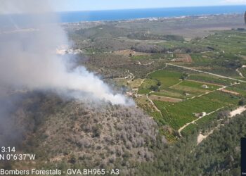 El fuerte viento aviva el incendio forestal de Pego, en la zona de l’Ombría de Mostalla