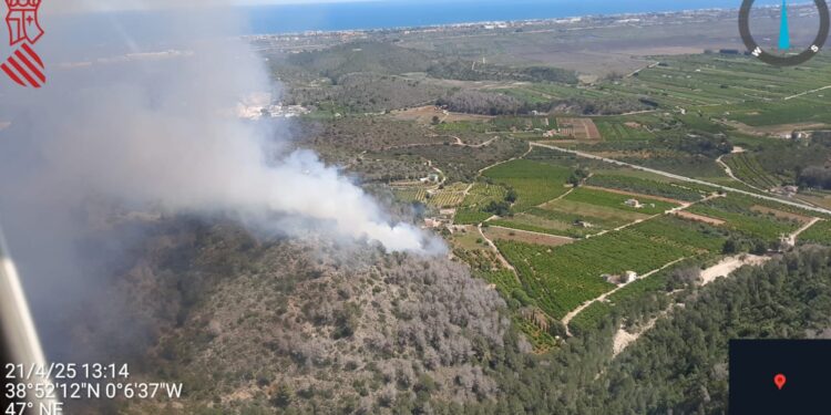 El fuerte viento aviva el incendio forestal de Pego, en la zona de l’Ombría de Mostalla 1 El fuerte viento aviva el incendio forestal de Pego, en la zona de l’Ombría de Mostalla