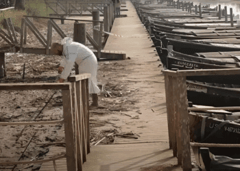 Arrozales perdidos, ayudas a medias y una Albufera que pide auxilio