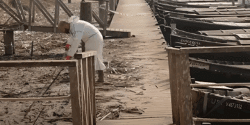 Arrozales perdidos, ayudas a medias y una Albufera que pide auxilio