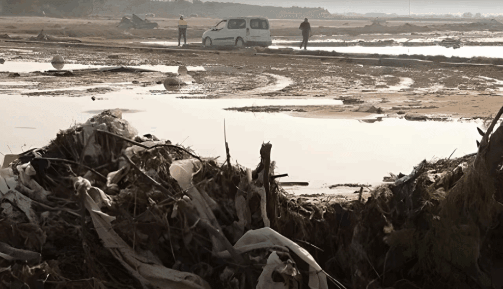 Arrozales perdidos, ayudas a medias y una Albufera que pide auxilio 6 La Albufera dejara de cultivar arroz en 132 hectareas debido a la acumulacion de basura tras la DANA 2 Mediana