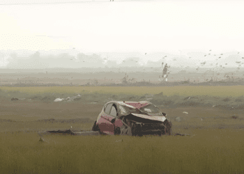 Arrozales perdidos, ayudas a medias y una Albufera que pide auxilio