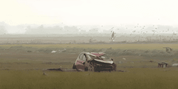 Arrozales perdidos, ayudas a medias y una Albufera que pide auxilio