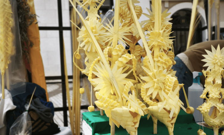 La Palma Blanca de Elig/Elche una tradición artesanal que se mantiene desde época ancestral