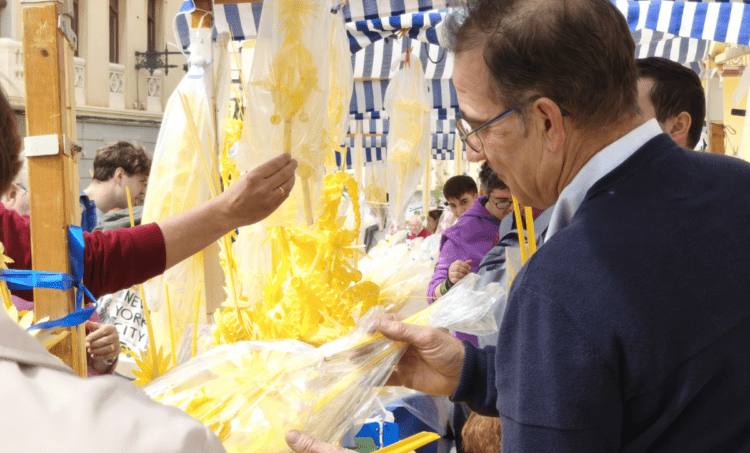 La Palma Blanca de Elig/Elche una tradición artesanal que se mantiene desde época ancestral