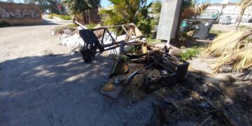 La Punta: imagen de degradación en una "Valencia verde y sostenible": abandono de los campos y de las infraestructuras