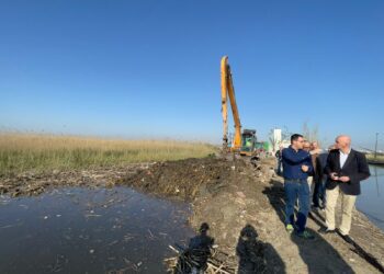 El Ayuntamiento retira 2.475 toneladas de residuos de l'Albufera tras la riada de la #DANA 5 El Ayuntamiento retira 2.475 toneladas de residuos de l'Albufera tras la riada de la #DANA