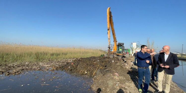 El Ayuntamiento retira 2.475 toneladas de residuos de l'Albufera tras la riada de la #DANA 1 El Ayuntamiento retira 2.475 toneladas de residuos de l'Albufera tras la riada de la #DANA