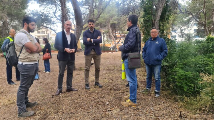 El Ayuntamiento de Valencia inicia las obras de recuperación ecológica y adecuación paisajística del Pouet del Saler