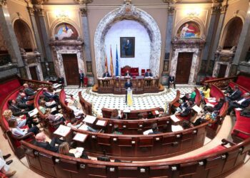 "Las pedanias del sur somos Valencia" el grito desesperado a los políticos en el Pleno municipal sobre reconstrucción tras la #DANA 3 "Las pedanias del sur somos Valencia" el grito desesperado a los políticos en el Pleno municipal sobre reconstrucción tras la #DANA