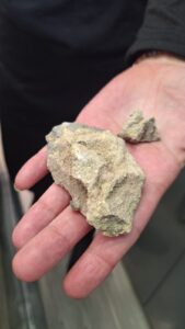 WhatsApp Image 2025 04 19 at 09.46.17