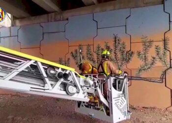 Rescatan a una cabra atrapada en las vigas de un puente en Sagunt