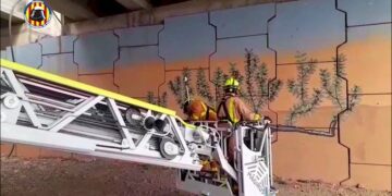 Rescatan a una cabra atrapada en las vigas de un puente en Sagunt