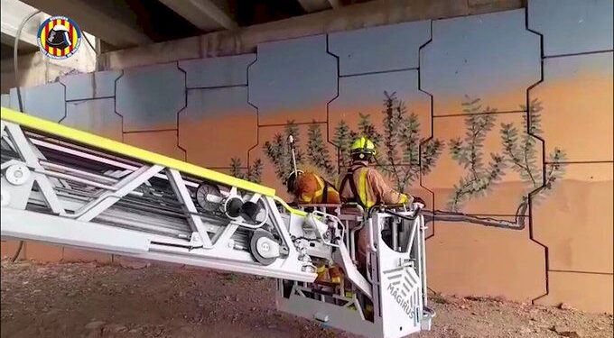 Rescatan a una cabra atrapada en las vigas de un puente en Sagunt 1 Rescatan a una cabra atrapada en las vigas de un puente en Sagunt