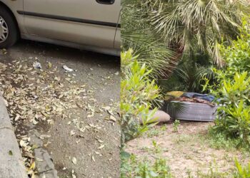 Los vecinos de San Antonio de la Zaidía aseguran que al nulo mantenimiento de los jardines ahora se une la falta de limpieza