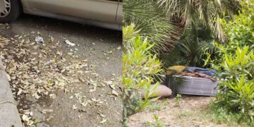 Los vecinos de San Antonio de la Zaidía aseguran que al nulo mantenimiento de los jardines ahora se une la falta de limpieza