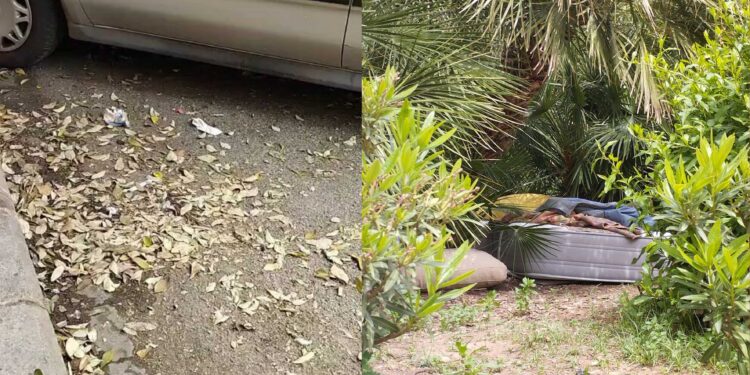 Los vecinos de San Antonio de la Zaidía aseguran que al nulo mantenimiento de los jardines ahora se une la falta de limpieza