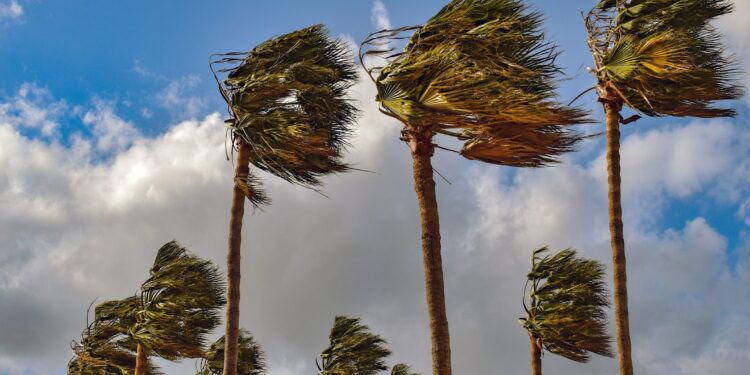 Las rachas de viento superan los 100 km/h en el interior de Castello 1 Las rachas de viento superan los 100 km/h en el interior de Castello