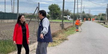 Castellón limpia 80 kilómetros de acequias y refuerza la mejora de servicios en la marjalería