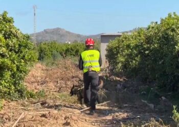 La UME mantiene la busqueda de los desaparecidos por la dana, pese a haber sido declarados oficialmente muertos