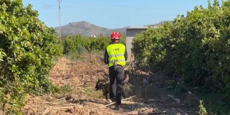 La UME mantiene la busqueda de los desaparecidos por la dana, pese a haber sido declarados oficialmente muertos 1 La UME mantiene la busqueda de los desaparecidos por la dana, pese a haber sido declarados oficialmente muertos