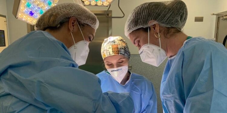 Radiografía de las listas de espera quirúrgicas en la Comunitat Valenciana (Diciembre 2024)