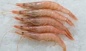 Calp registra la marca ‘Gamba Blanca de Calp’ para impulsar su producto emblemático