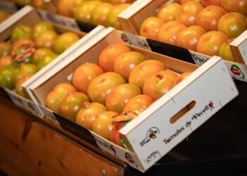 Feria Gastronómica del Tomate de El Perelló 2025 – Del 6 al 8 de junio regresa la gran cita con el sabor valenciano