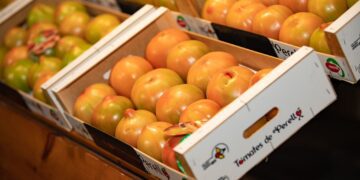 Feria Gastronómica del Tomate de El Perelló 2025 – Del 6 al 8 de junio regresa la gran cita con el sabor valenciano