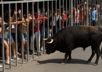 Muere un hombre corneado por un toro en Dosaigües durante los festejos de Semana Santa