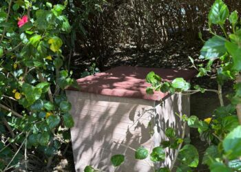 Valencia amplía la instalación de casetas comedero para proteger a las colonias felinas