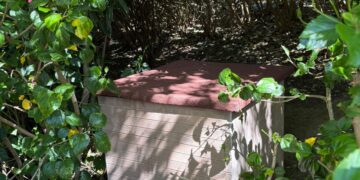 Valencia amplía la instalación de casetas comedero para proteger a las colonias felinas