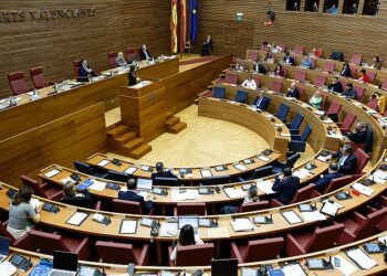 PP y Vox respaldan Ley de Concordia tras fallo del TC