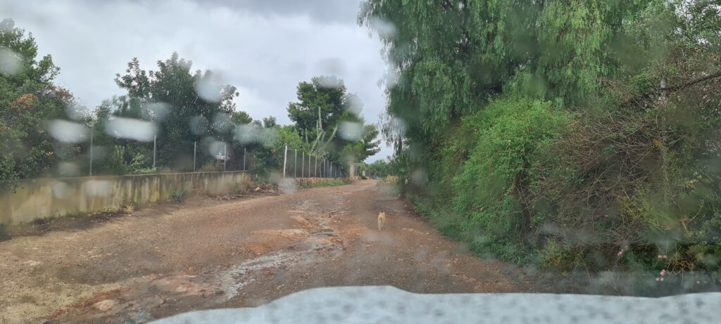El ayuntamiento de Náquera abandona a los vecinos de Pont del Moliner 3 20240713 125015